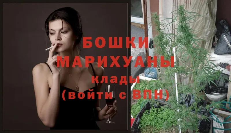 купить закладку  Весьегонск  Шишки марихуана сатива 